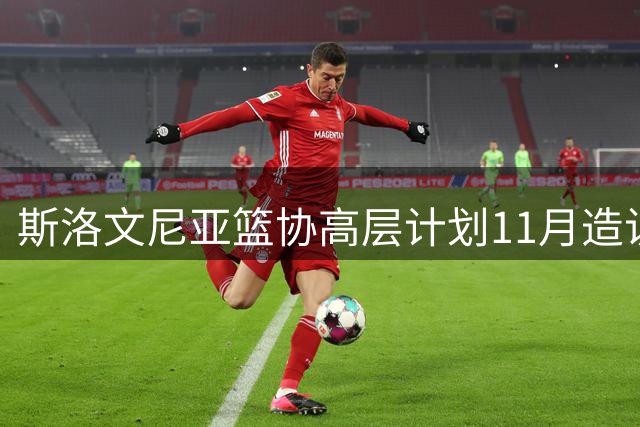 斯洛文尼亚篮协高层计划11月造访湖人寻求合作