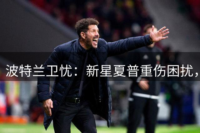 波特兰卫忧：新星夏普重伤困扰，轮换压力意外缓解